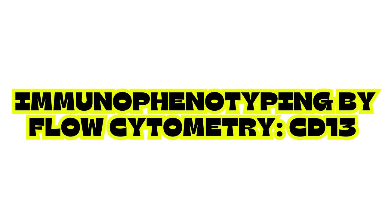 IMMUNOPHENOTYPING BY FLOW CYTOMETRY: CD13 | flow cytometry | acute myeloid leukemia