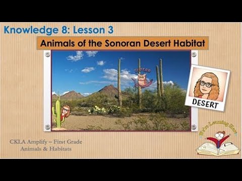 Knowledge 8 Lesson 3 Animals of the Sonoran Desert