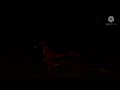End of video