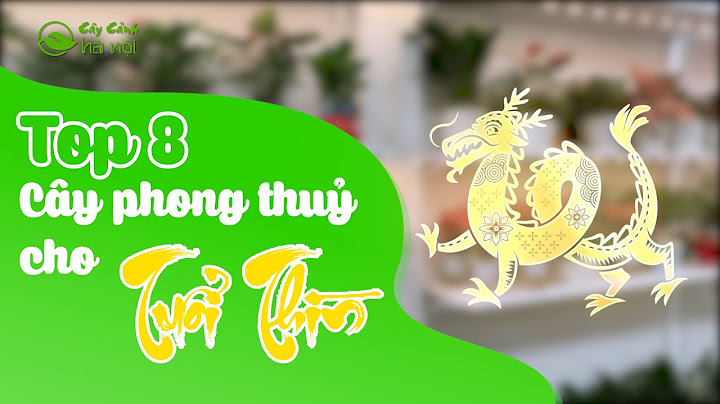 Cây phong thủy văn phòng cho người tuổi thìn 1988