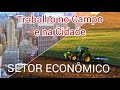 Setor econmico  trabalho no campo e na cidade