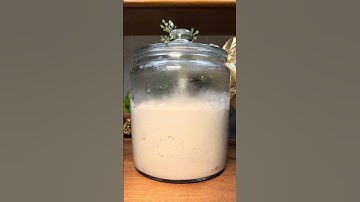 Feeding my 118 year old sourdough starter for the first time in 8 months. #sourdoughstarter #asmr