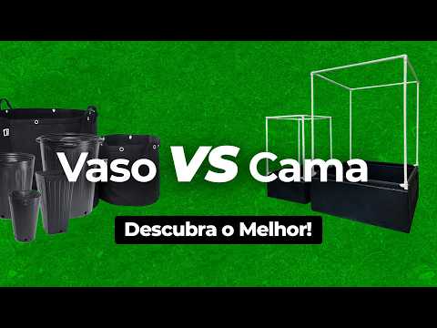 Vasos x Cama de Cultivo: Quando Usar Cada Um no Grow Indoor | leds indoor