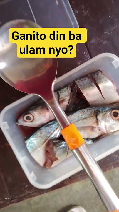 Cooking fish soup and fried fish//Lunch time