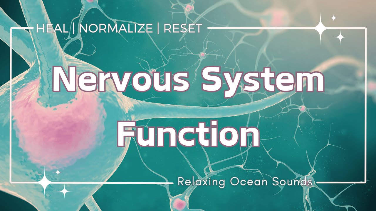 ❉ Nervous System Function ~ Normalize | Heal | Reset | Rife Frequency ~ Ocean Sounds