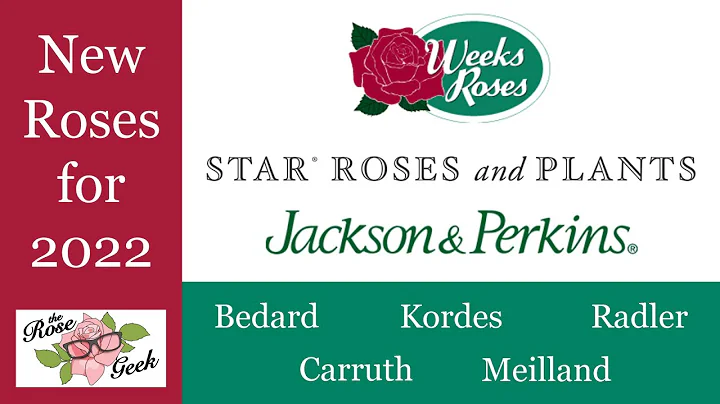 New Roses for 2022 // Bedard, Carruth, Kordes, Mei...