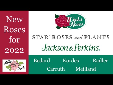 🌹 New Roses for 2022 // Bedard, Carruth, Kordes, Meilland, Radler, J&P