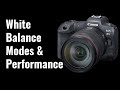 White Balance Modes and AWB Tests - EOS R5 Tip 70