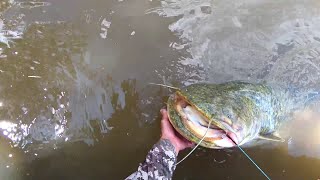 видео: Сезон открыт! Рыба есть! картинка: Сезон открыт! Рыба есть!