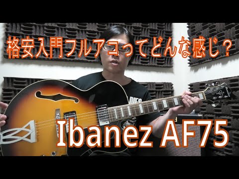 Ibanez AF75 - 格安入門フルアコってどんな感じ　アイバニーズ フルアコ - Instrument review
