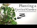 Replanting My Vertical Garden