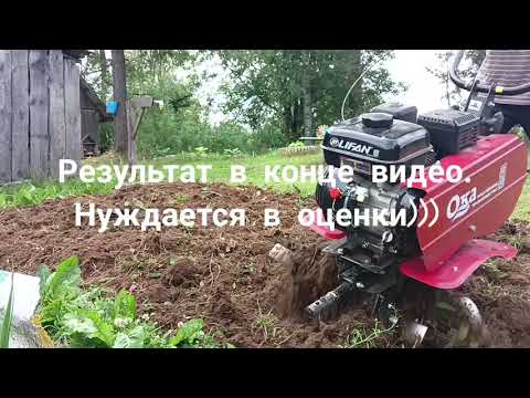 Решили заложить грядки под клубнику, мотоблок Ока обработка огорода , результат в конце видео!!!!