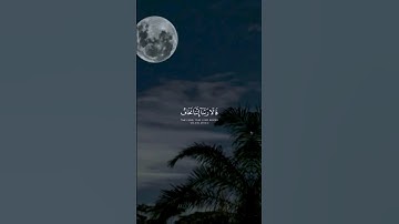 القارئ:شريف مصطفى🌱قَالَ لَا تَخَافَا ۖ إِنَّنِي مَعَكُمَا أَسْمَعُ وَأَرَىٰ