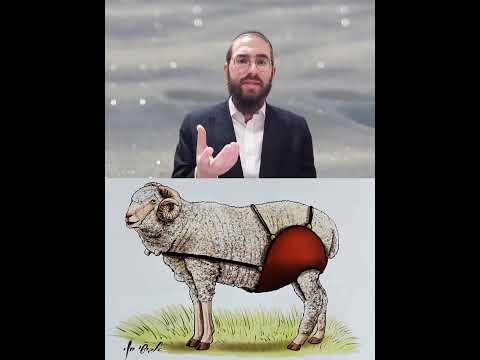 Shabbat Chapter 5 - Youtube