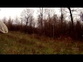 Охота на осеннего вальдшнепа с дратхааром от Banderas2122.mp4