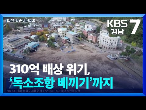 310억 배상 위기, ‘<strong>독소조항</strong> 베끼기’까지 / KBS  2024.11.18.
