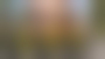 i tried SOLO RAIDING using ONLY SAM SITE MISSILES!