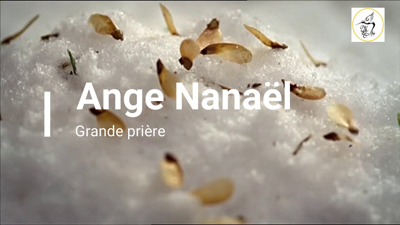 N°53 Ange Nanaël 13 Décembre au 16 Décembre YouTube