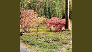 spring interlude