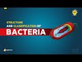 Structure and Classification of Bacteria | Microbiology V-Learning™ | sqadia.com
