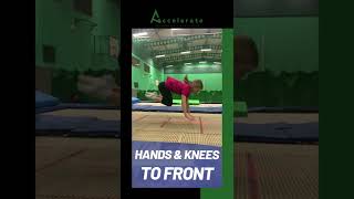 Hands And Knees To Front