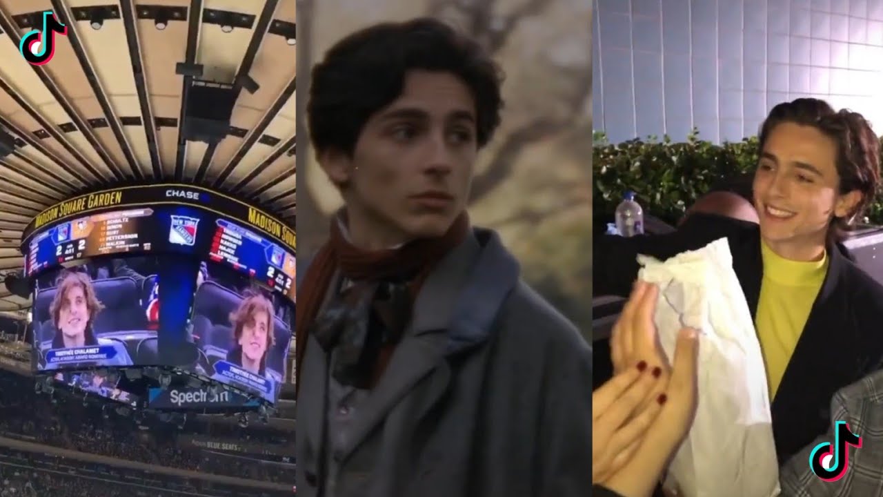 TIMOTHÉE CHALAMET в Tik Tok| ПОДБОРКА ЛУЧШИХ ВИДЕО из Tik Tok 2019-2020 ...
