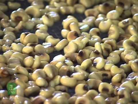 Kanien'kéha Words - Corn Washing - YouTube