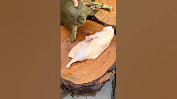 How Do You Slaughter A Turtle Hand Forged Kitchen Knife Too Sharp 