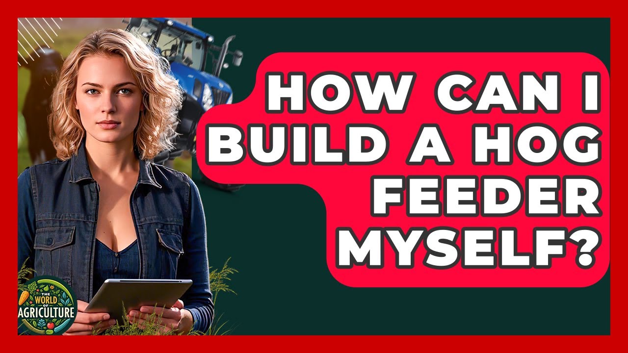 How Can I Build A Hog Feeder Myself? - The World of Agriculture