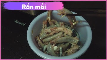 Rắn mối khìa nước dừa _ Thúy Lavender Vlog