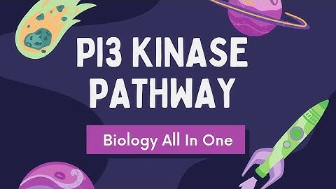 CSIR UGC NET | PI3 KINASE PATHWAY | #BiologyAllInOne