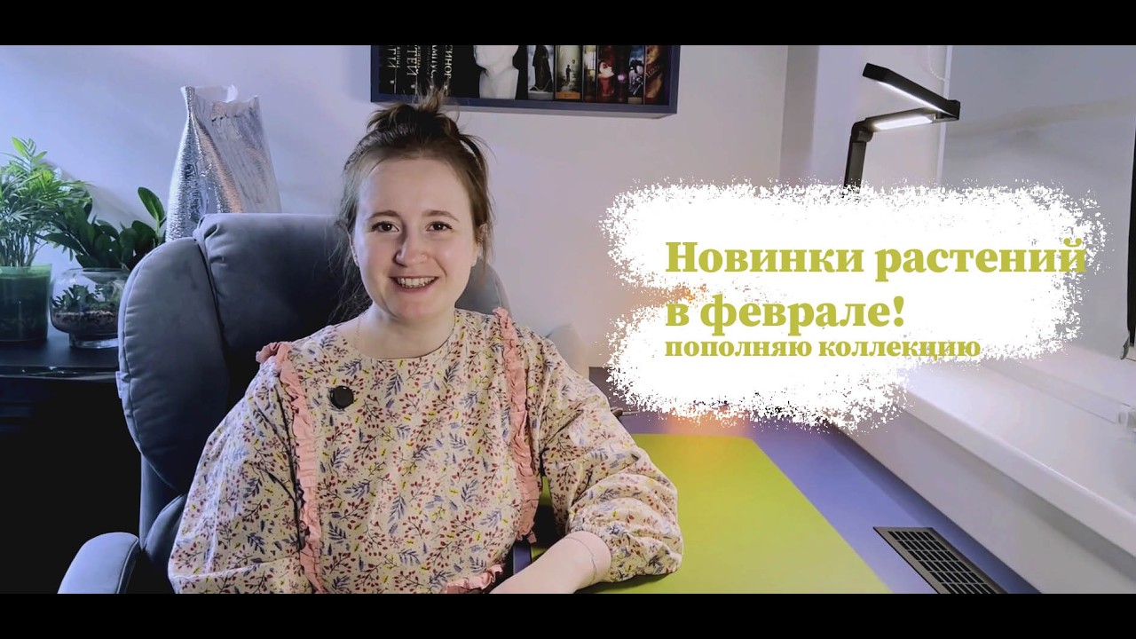 Распаковка растений в феврале | Новые алоказии и не только!