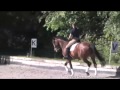 Dressagecliniccom presents ellen bontje riding  lecturing de jeu sample 6062010