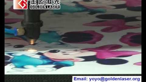 Auto Recognition Printed Fabric Laser Cutting Machine with Vision