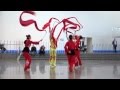 Nyccc chinese new year 2015  queens museum  red ribbon dance