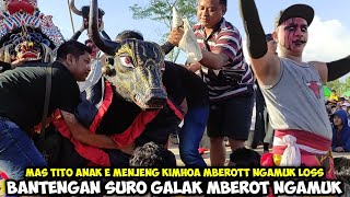 Bantengan Suro Galak Ngamuk Loss❗Jaranan ROGO SAMBOYO PUTRO Live Baye Kayen Kidul Kediri