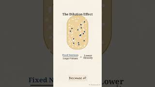 🌾 Bigger Wheat, Less Protein? | The Hidden Science Behind Modern Crops 🌾 Bigger Wheat, Less Protein? | The Hidden Science Behind Modern Crops