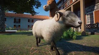 Planet Zoo (PC)(English) #172 6 Minutes of Hill Radnor sheep (Barnyard Animal Pack DLC)