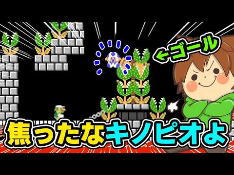 Toad, it seems you didn't have enough height, didn't you!?【Super Mario Maker 2 #955】Yukkuri Let's...