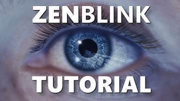 ZENBLINK Tutorial for UnrealEngine