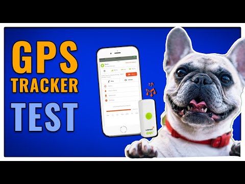 Video: Fi GPS Tracker bringt verlorene Hunde nach Hause