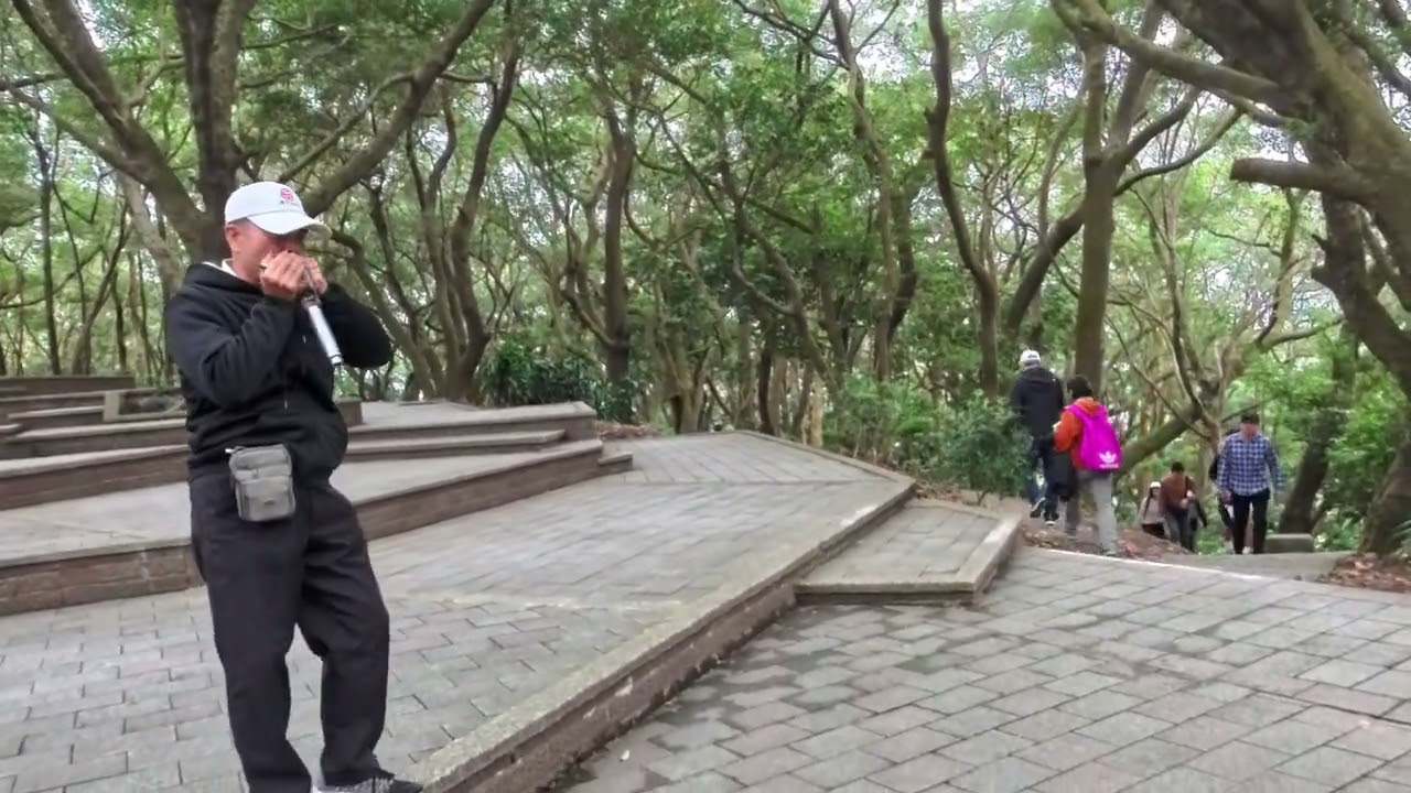 噖遊夢十八姑娘一朵花@20260308/虎頭山@《OK半》老師掌鏡-舞拉OK