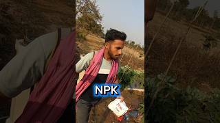NPK Khad #farming #agriculture #npk