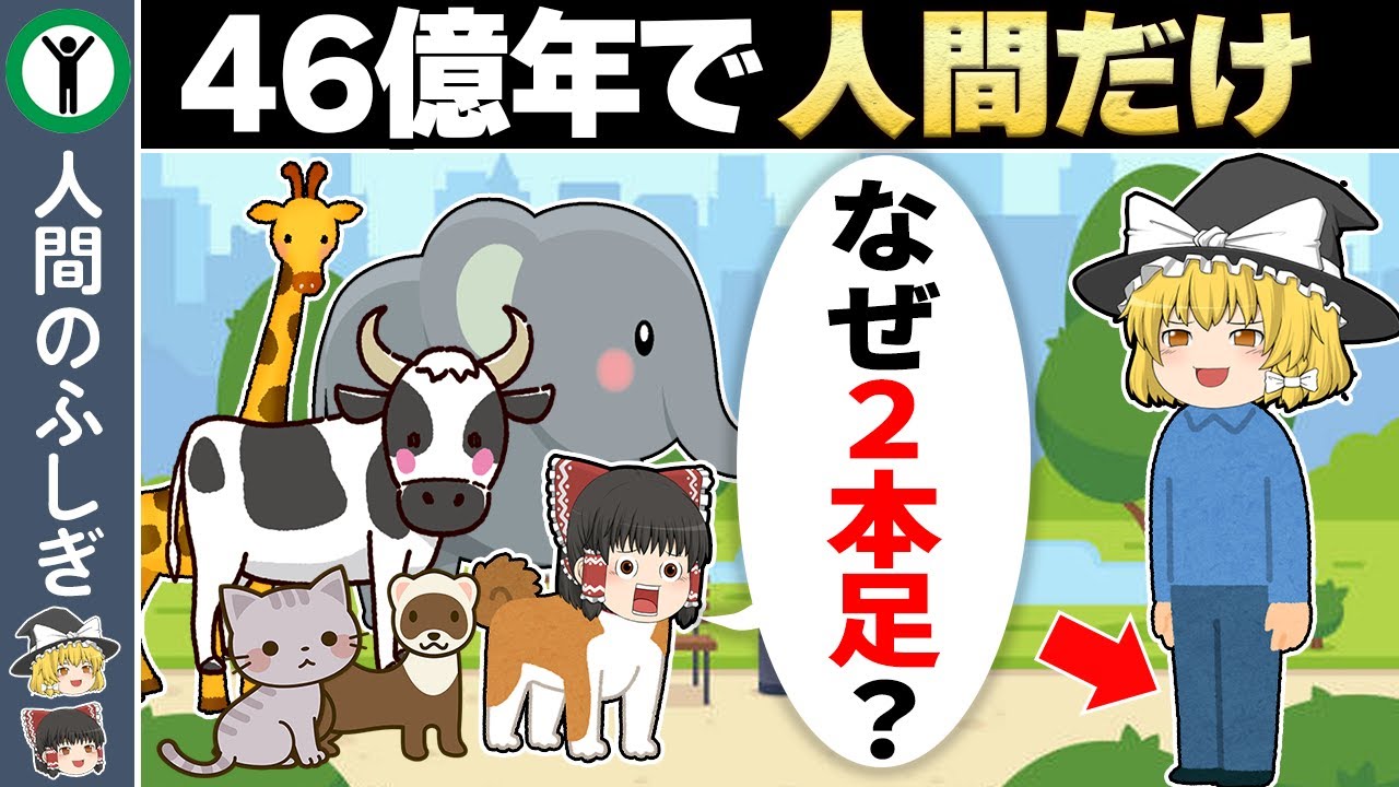 なぜ人間だけ直立2足歩行なのか？【ゆっくり解説】 - YouTube