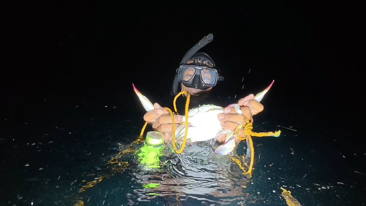 NAPAKABIHIRA NITO | Nakarami agad sa unang sisid Ngayong Taon