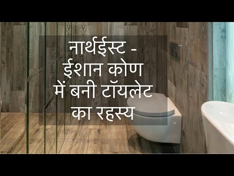 वीडियो: क्या स्टिक स्क्रैच टॉयलेट को परिमार्जन करता है?