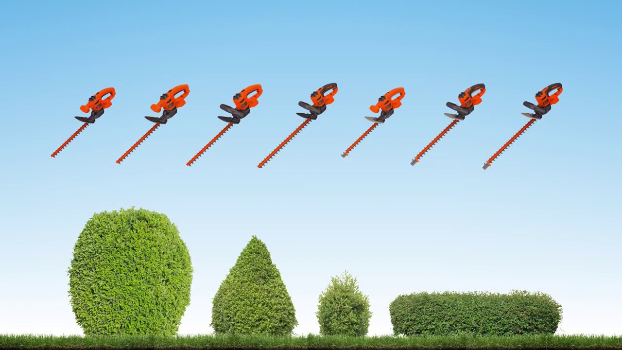 BLACK+DECKER Hedge Trimmer, Rotating Handle, Dual Blade Action Blades,  3.3-Amp, 24-Inch (HH2455)