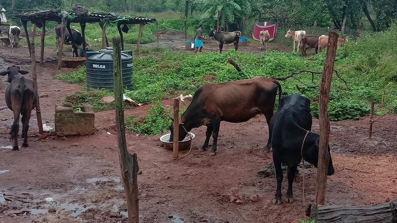 Netarhat : Queen of Chotanagpur || Jharkhand Tourism || 3 day tour ...