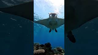 Sea world #trending #trendingshorts #travel #lifeisbutadream