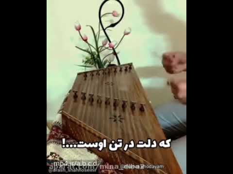ساز دل